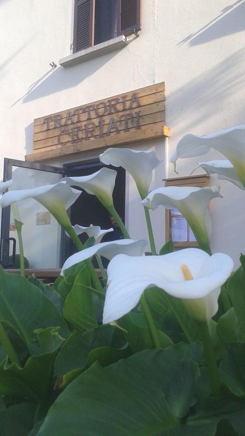 Trattoria Ceriati Room & Breakfast Salsomaggiore Terme Exterior photo